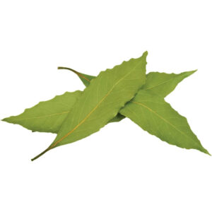 Bay Leaves