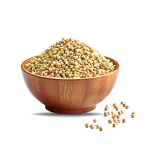 Coriander Seeds